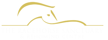 The Racehorse Sanctuary logo