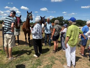 Group visits to the centre
