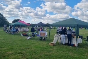 Racehorse-sanctuary-Open-day